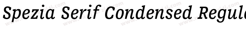 Spezia Serif Condensed Regular D字体转换
